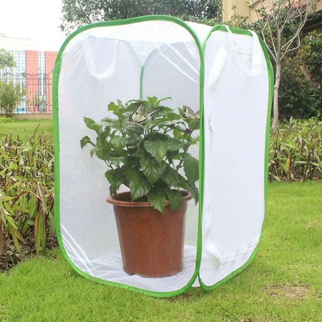 LYUMO Insect Mesh Cage, Folding Collapsible Ventilated Insect Cage Light Transmission Mesh Cage Zipper Plant House