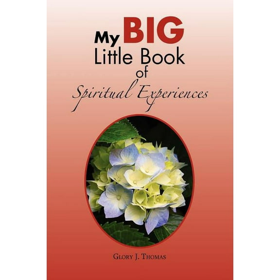 My Big Little Book of Spiritual Experiences, (Paperback)