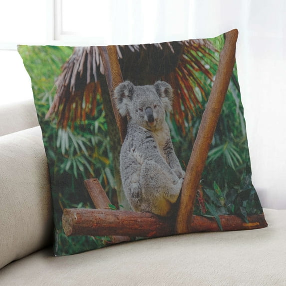 Ahgly Company Animals Koala Indoor Throw Pillow, 18 inch by 18 inch
