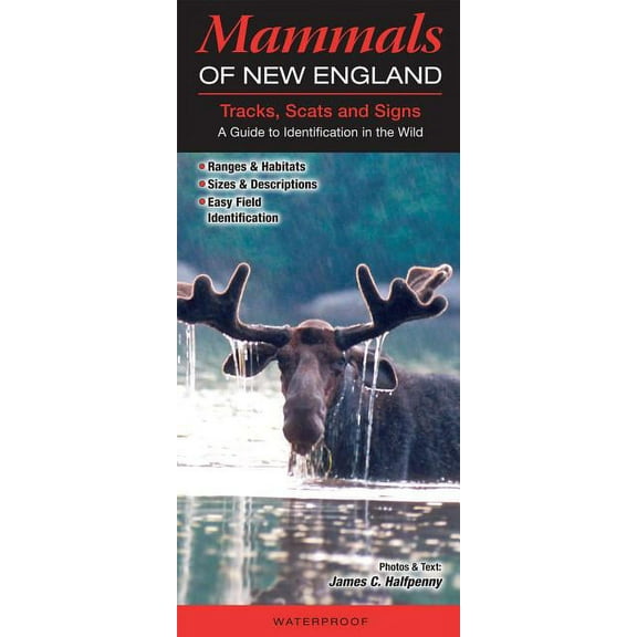 Mammals of the New England Tracks, Scats and Signs: A Guide to Identification in the Wild (Other)