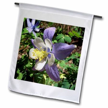 3dRose, Columbine Flower, 18 x 27 inch Garden Flag