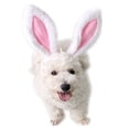 thumbnail image 2 of Pets Head Band Rabbit Ear Pattern Costume Cosplay Dogs Cat Puppy Hair Accessory For Halloween Party Pet Wearing - Size S, 2 of 8
