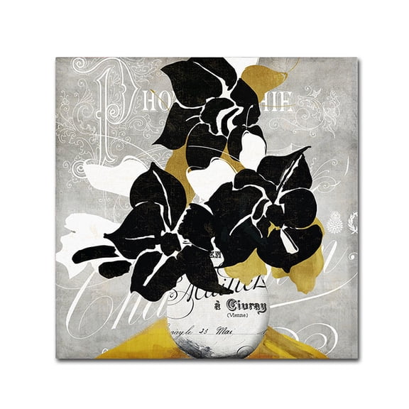Trademark Fine Art "Georgette I" Canvas Art by Color Bakery