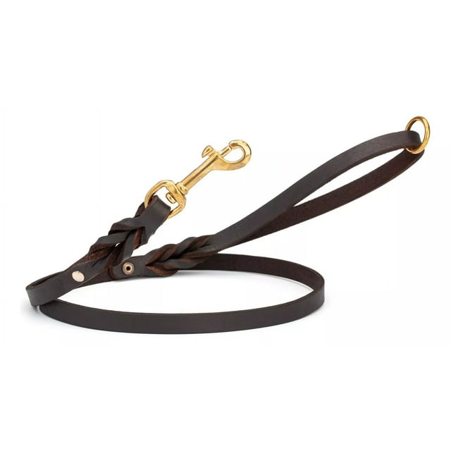 Correa De Cuero Para Perros De 4 Pies Correa Trenz 13mm