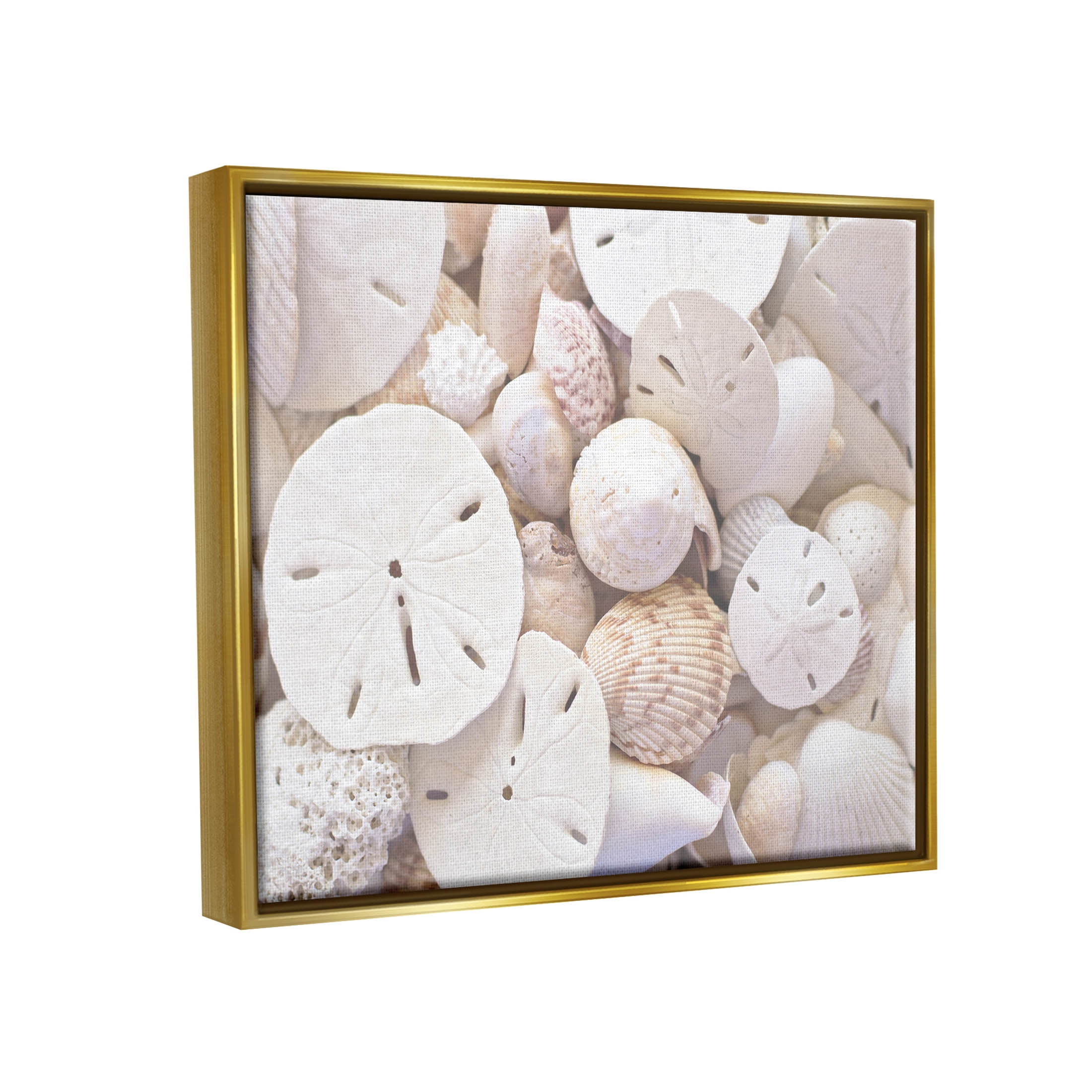 White Mixed Sand Dollar Shells Coastal Photograph Metallic Gold Framed Art Print Wall Art
