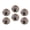 C1280, variant on Glass Refrigerator Magnet 6Pcs Magnetic Fridge Sticker,Decor for Kitchen,Whiteboard,Cabinet,Piglets With Curious Eyes And Flower Backdrop