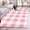 Pink, variant on Hallway Runner Rug 2.7'x5', Pink Checkered Long Non-slip Runner Rugs, Pink White Buffalo Plaid Washable Outdoor Indoor Throw Floor Carpet Mat for Living Room/Bedroom/Kitchen/Office/Laundry