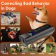 thumbnail image 5 of Disuasor de ladridos de perro ZUIBAS, 20 m, rango 3 frecuencias ultrasónicas, 5 of 7