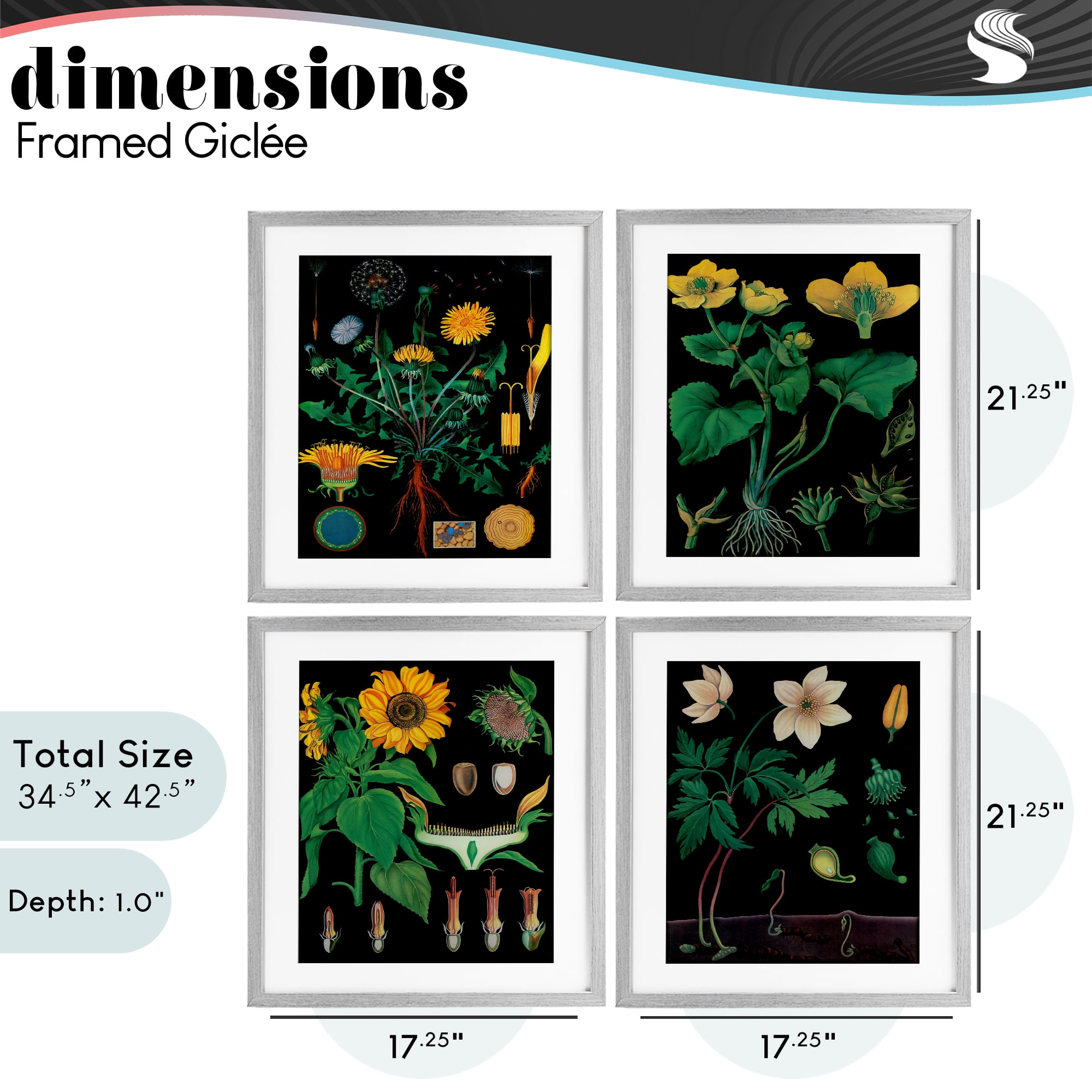 Stupell Industries Botanical Illustrations on Black 4 Piece Gray Framed Print Under Glass Set, design by Vintage Hustle