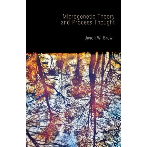 Microgenetic Theory and Process Thought (Paperback)