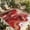 Red, variant on Fsddascl Red Marble Outdoor Rug for Patio/Deck/Porch, Non-Slip Large Area Rug 5 x 8 Ft, Modern Abstract Ombre Fluid Aesthetic Indoor Outdoor Rugs Washable Area Rugs, Reversible Camping Rug Carpet