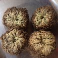 thumbnail image 5 of 1PC Resurrection Plant Air Fern Selaginella Moss Immortalized Grass Dry Leaves, 5 of 5