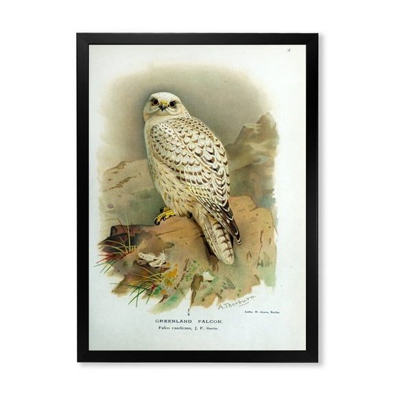Designart 'Ancient Bird Life VII' Traditional Framed Art Print