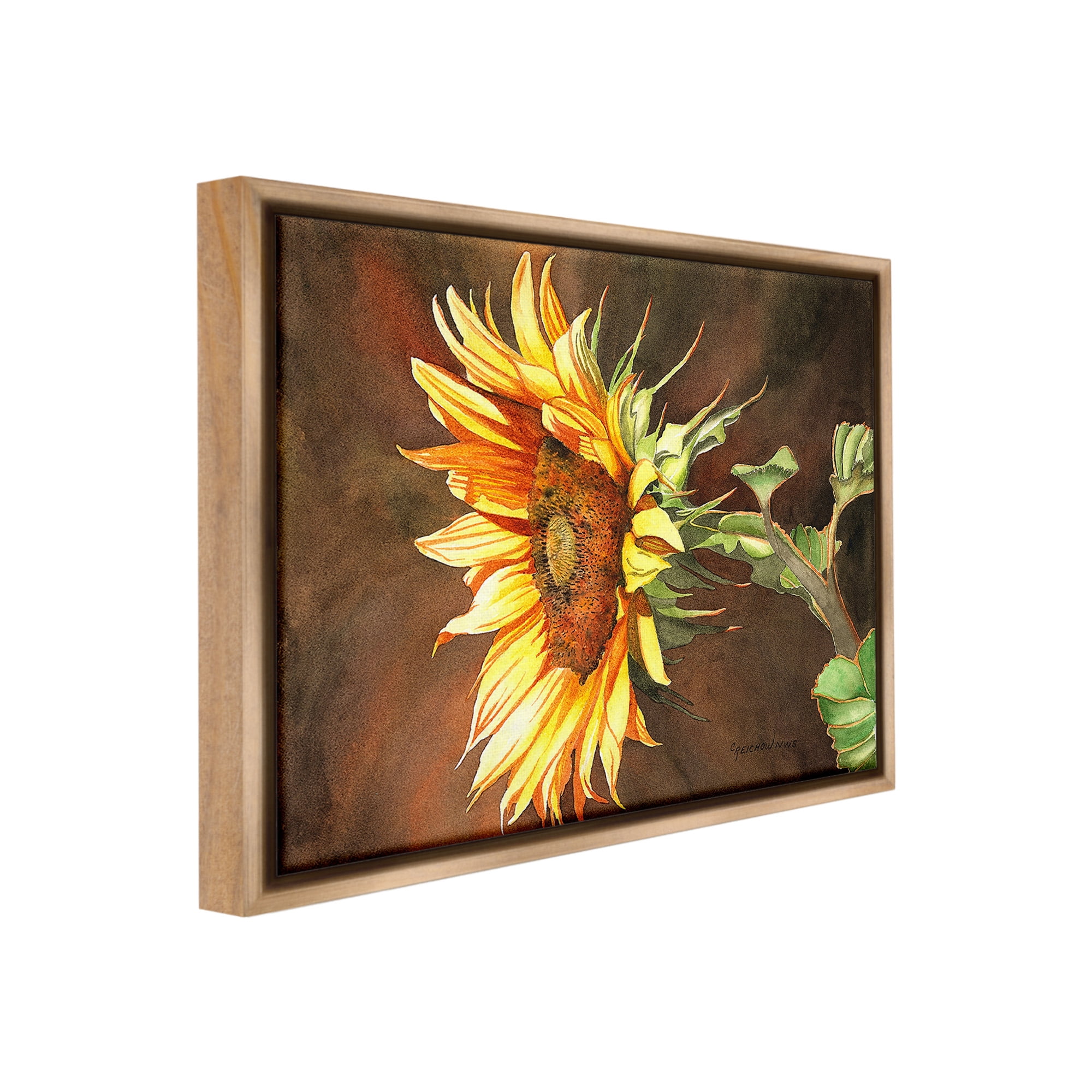Stupell Industries Sunflower with Vivid Light Botanical & Floral Painting Brown Floater Framed Canvas Art Print Wall Art, 31 x 25