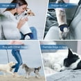 thumbnail image 4 of TELOLY Pet Soft Washable Female Diapers - Female Dog Diapers, Comfort Reusable Doggy Diapers for Girl Dog in Period Heat, Breathable Mesh, 4 of 7