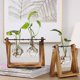 thumbnail image 3 of Planta Hidropónica Florero Transparente Marco De Madera Mesa Decorativa Vidrio Transparente Contenedor De Flores Bonsai Planta Decoración Florero Minnieouse HA039933-05, 3 of 6