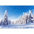 thumbnail image 2 of ABPHOTO 7x5ft Photography Backdrop Christmas Pine Tree Snow Covered Landscape Snowflakes Sunshine Nature Winter Happy New Year Photo Background Backdrops, 2 of 4