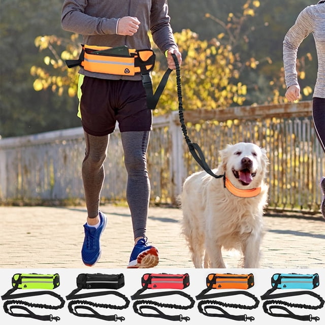 Mains Libres Laisse de Chien avec Sac à Taille Chien en Cours d'Exécution Nylon Déchets Durables Laisse de Formation de Chien Fournitures pour la Course Marche Formation Randonnée