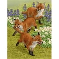 thumbnail image 1 of Carolines Treasures ASA2083CHF Fox Cubs Drapeau Toile Maison Taille, 1 of 4