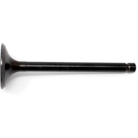 Intake Valve Fits Honda 0169-016