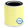 thumbnail image 1 of Filtro de repuesto DAYETTE Pet Dander Odor H14 para purificador de aire, 1 of 8