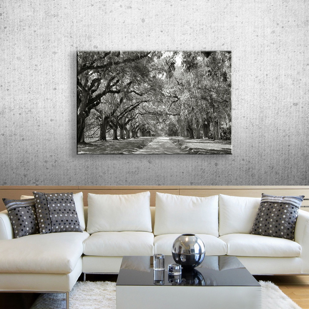 ArtWall Steve Ainsworth Live Oak Avenue Wall Art