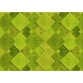 thumbnail image 1 of Ahgly Company Indoor Rectangle Patterned Chameleon Green Area Rugs, 2' x 4', 1 of 6
