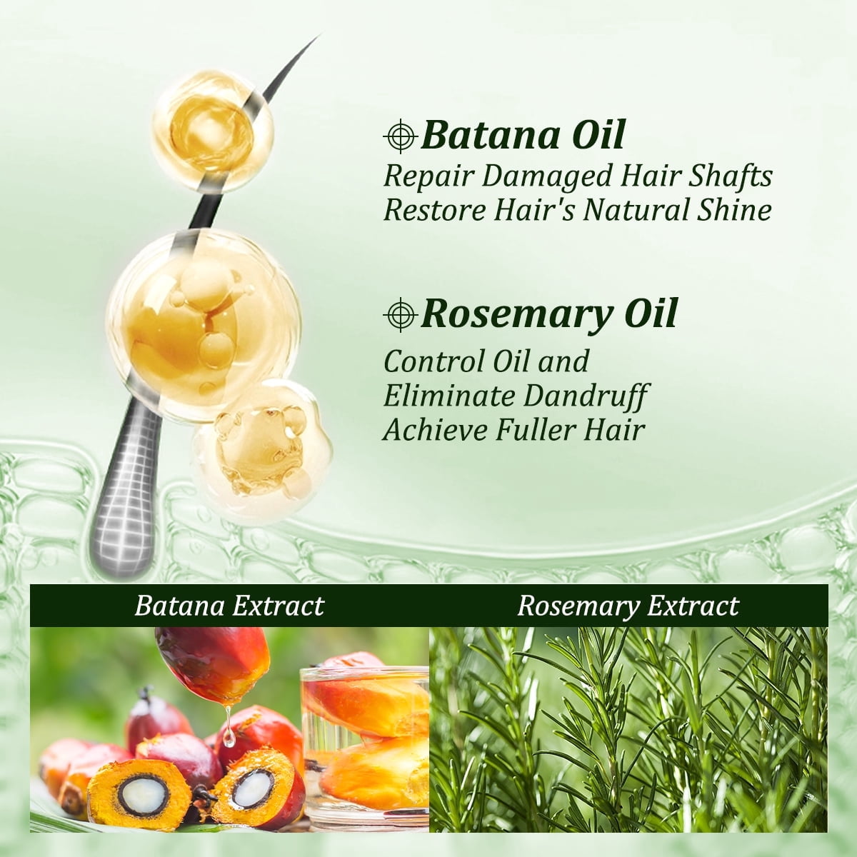 Gypsophila Women Batana Oil Shampoo and Hair Oil with Rosemary,Gently Cleanse Scalp, Help Strengthen Reduce Breakage, Hair Stimulation Product for Women & Unisex (10.14 fl.oz+1 fl.oz)
