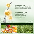 thumbnail image 5 of Gypsophila Women Batana Oil Shampoo and Hair Oil with Rosemary,Gently Cleanse Scalp, Help Strengthen Reduce Breakage, Hair Stimulation Product for Women & Unisex (10.14 fl.oz+1 fl.oz), 5 of 9