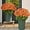 5bundle Orange, variant on Funsdecor Artificial Mums - Fall Mums Artificial Flowers Outdoor, Mums for Outdoor Planters - UV Resistant Waterproof Windproof Never Faded for Indoor Outdoor Decor