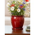 thumbnail image 3 of Serene Spaces Living 7" Sora Red Ceramic Planter, 3 of 7