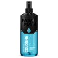 thumbnail image 1 of Colonia After Shave Nishman Antarctica 400 ml, 1 of 1