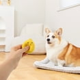 thumbnail image 3 of Miangastore Puppy Chewing Toy Bite-resistant Dog Plaything Interactive Puppy Squeaky Plaything, 3 of 8
