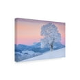 thumbnail image 4 of Trademark Fine Art Burger Jochen Exposed Canvas Wall Art, 4 of 4