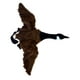 thumbnail image 1 of Adore - Soporte de pared para pared, diseño de ganso canadiense, 23 pulgadas, 1 of 1