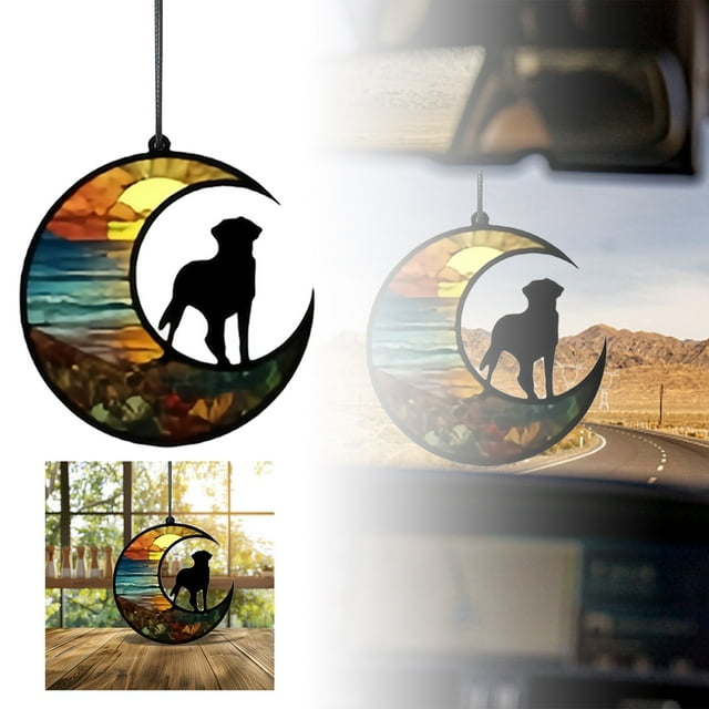Riforla Functional Home Window Decoration Pendant Perfectly Combining and Practicality Suitable for Various Styles of Homes Lighting up Your Life Every Day Hangs H