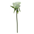 thumbnail image 3 of Darice 9" White and Green Artificial Short Single Stem Budding Rose Pick, 3 of 5