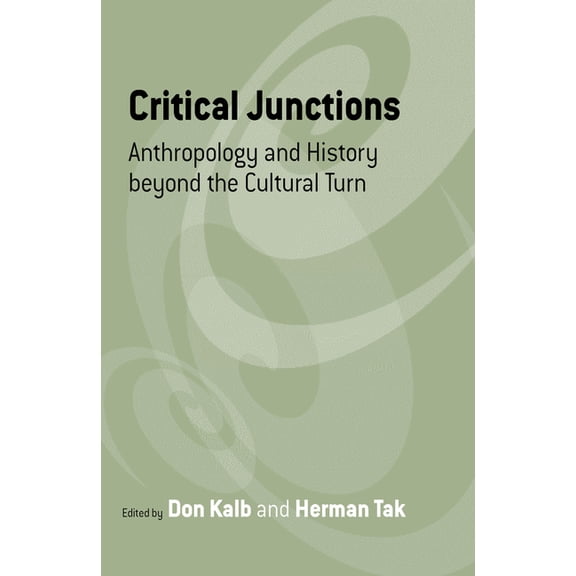 Critical Junctions: Anthropology and History Beyond the Cultural Turn, (Paperback)