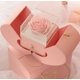 thumbnail image 5 of TUWABEII - Joyero sin manzanas para San Valentín, con flores preservadas, collar y caja de regalo, joyero de alta gama, regalo para mujer, 5 of 5