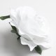 thumbnail image 3 of 10 cabezas de rosas de seda artificiales de 10 cm para decoración de bodas, hogar y fiestas. Un blanco, 3 of 9