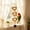 Brown, variant on Bird Swing Bird Toys Parrot Toys Parakeet Toys Bird Cage Accessories for Budgerigar, Parakeet, Conure, Cockatiel, Mynah, Love Birds, Finches