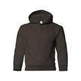 thumbnail image 1 of Fleece Heavy Blend Youth Hooded Sweatshirt, 1 of 1