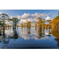 thumbnail image 2 of Jones, Adam 14x11 Gold Ornate Wood Framed with Double Matting Museum Art Print Titled - Bald cypress trees in autumn reflected on lake Caddo Lake-Uncertain-Texas, 2 of 4