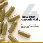 Premier Research Labs Multi-Vitamin - Supports Immune Priming, Brain, Cardiovascular & Whole Body - Multivitamin with Prebiotics & Postbiotics - Gluten & Soy Free - 120 Plant-Source Capsules