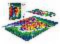 Buffalo Games 300-Piece Adorable Animals Light in the Rainforest Jigsaw Puzzle