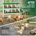 thumbnail image 5 of EastVita Nesting Boxes for Chickens, 8 Compartment Chicken Nesting Box, Metal Chicken Laying Boxes with Perch, Secure Lid, 5 of 7