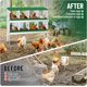 thumbnail image 5 of Cajas Nido para Gallinas, Caja Metálica con 8 Compartimentos, Percha, Tapa Segura, 5 of 7
