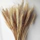 thumbnail image 3 of 100pcs Natural Dried Wheat Flowers, Wheat Flower Bouquet Dried Wheat Stalks Dried Wheat Ear Dried Wheat Sheaves for Home Table Balcony Wedding F, 3 of 5