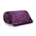thumbnail image 3 of IR Imperial Rooms Fleece Bed Blanket 310 GSM Microfiber Lightweight Warm Winter Blanket Fluffy Cozy Plush Throw Purple Twin Size, 3 of 8