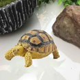 thumbnail image 4 of Sulcata Tortoise Mold Vivid Clear Texture 3D Effect Sea Ocean Life Simulation Animal Model for Kids, 4 of 5